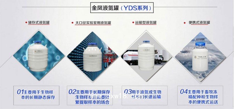 50口徑液氮生物容器YDS-30金鳳牌