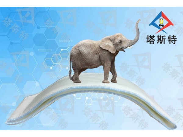 塔斯特高分子夾板繃帶舒適安全，硬化速度快，透X光，防水性強