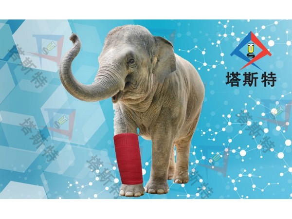 塔斯特高分子繃帶性價比高，強度高，重量輕，固化快