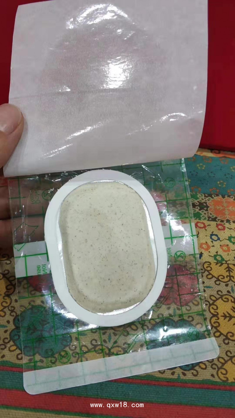 沙蒿子透皮貼