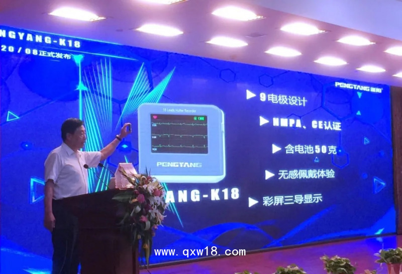 13.webp