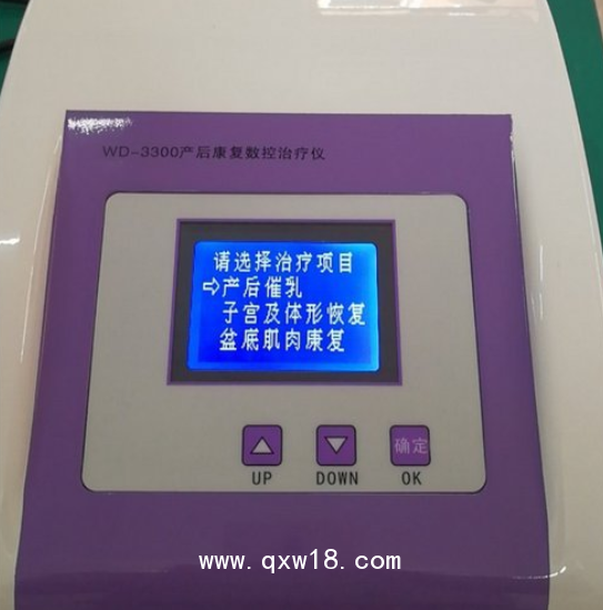 萬地 產后康復數控治療儀 WD-3300