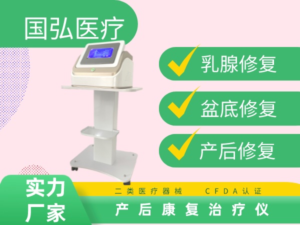 婦科綜合理療儀 產(chǎn)后康復治療儀 尿潴留盆底肌修復