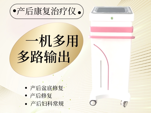 乳腺通 產(chǎn)后康復治療儀 子宮復舊治療儀 盆底肌康復