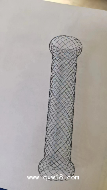 腸道支架