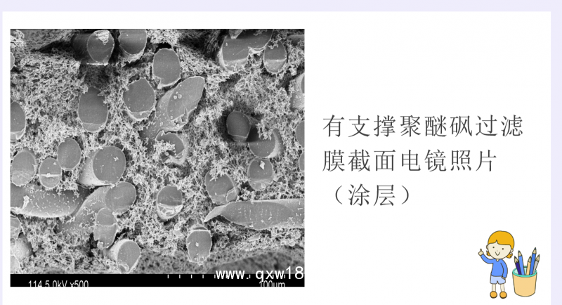 聚醚砜膜 0.2微米精密藥液過(guò)濾器
