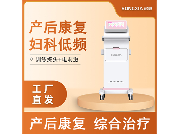 產(chǎn)后康復儀/婦科低頻脈沖綜合治療儀/盆底康復治療儀/低頻脈沖