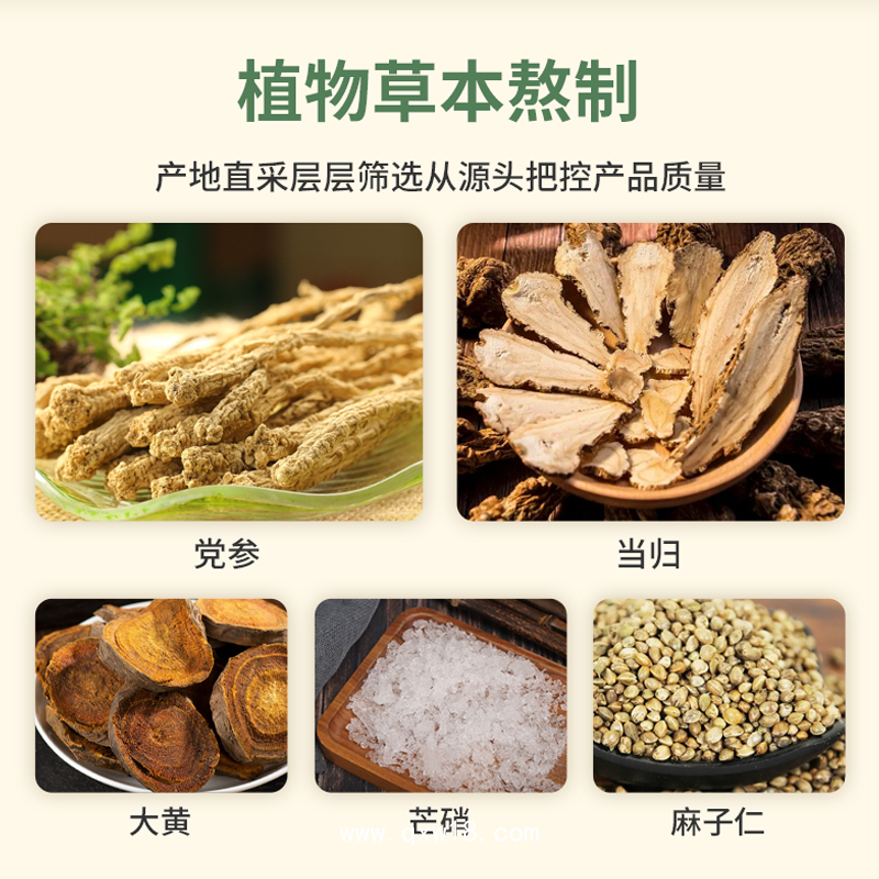 小兒穴保位健貼兒童寶寶肚臍感冒咳喘咽扁健胃通便膏藥貼廠家批發(fā)