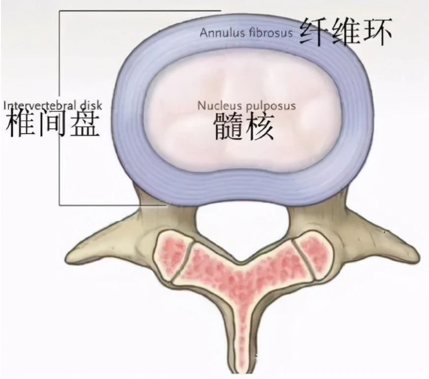 f6ec679a4b271f459bfd176339cabbf.png